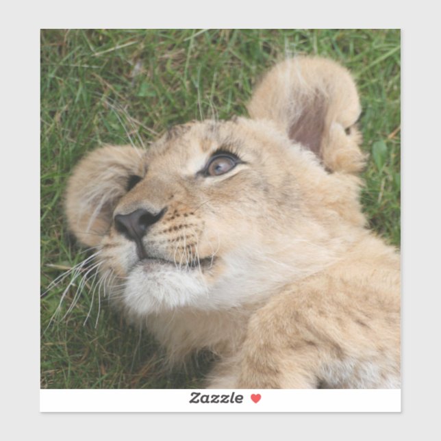 Lion 022 aufkleber (Blatt)