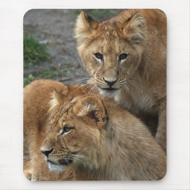 Lion 033 mousepad (Vorne)