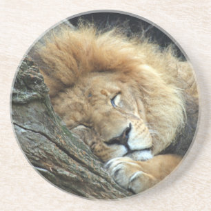 Lion 036 getränkeuntersetzer