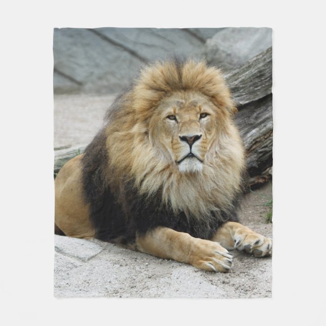 Lion_2014_1001 Fleecedecke (Vorderseite)