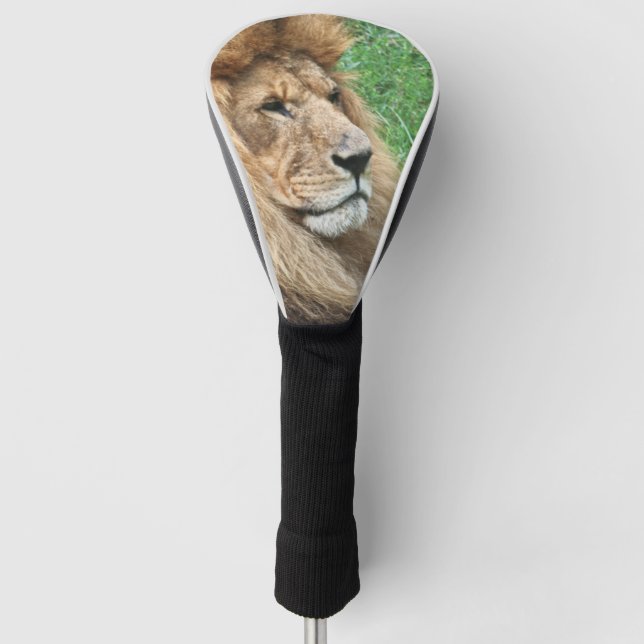 Lion_2023-04 Golf Headcover (Vorderseite)