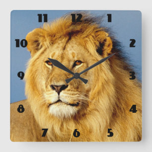 Lion 2 quadratische wanduhr