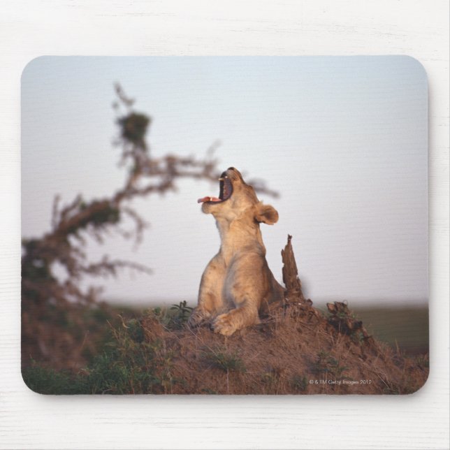 Lion 7 mousepad (Vorne)