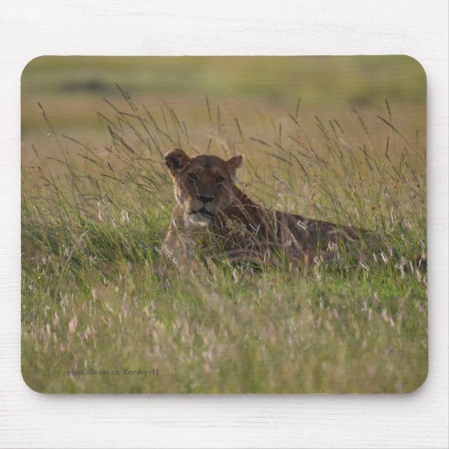 Lion Africa Savannah Mousepad (Vorne)