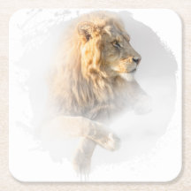 Lion Animal Vie Sauvage Jungle Nature Safari