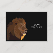 Lion Animal Wildlife
