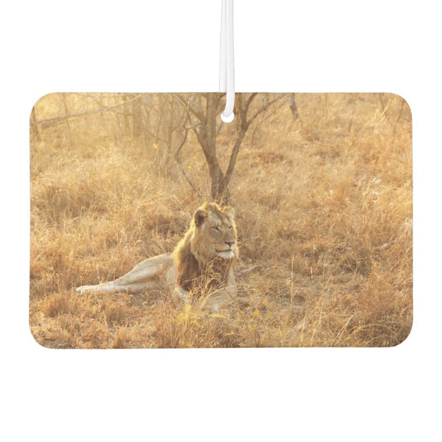 Lion Autolufterfrischer (Vorderseite)
