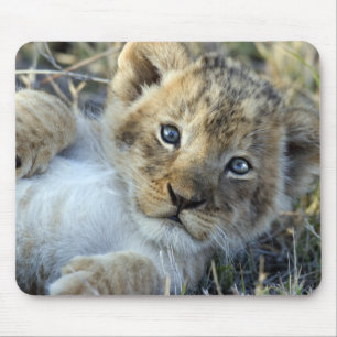Lion Baby Mousepad