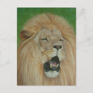 Lion Big Cat Wildlife Realist Art Postkarte