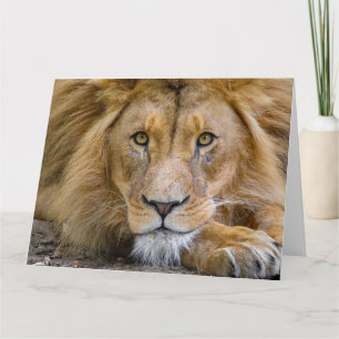 LION BIRTHDAY GREETING CARD KARTE