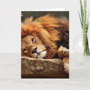 LION BIRTHDAY GREETING CARDS KARTE
