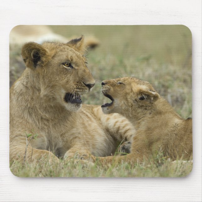 Lion Brothers Mousepad (Vorne)