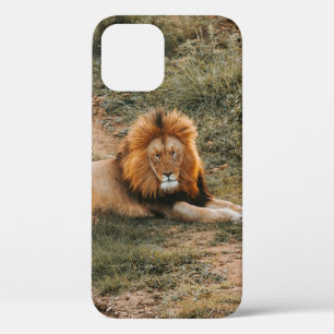 LION Case-Mate iPhone HÜLLE