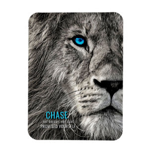 Lion Chase Your Dreams Magnet