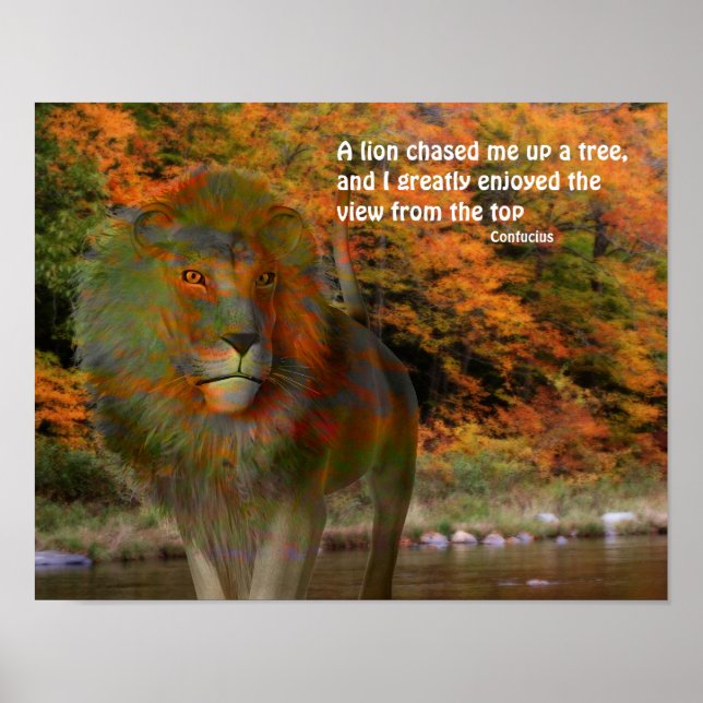 Lion Confucius Inspiration Zitat Poster (Vorne)