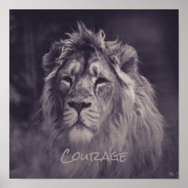 Lion Courage King of the Dschungel Poster (Vorne)