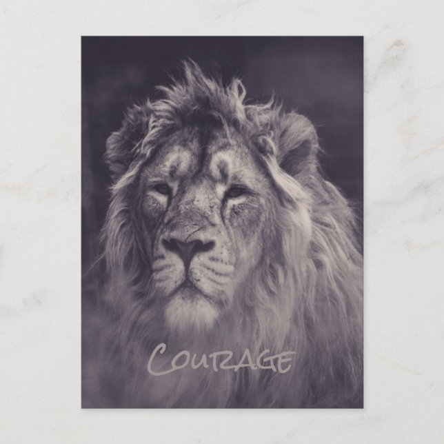 Lion Courage King of the Dschungel Postkarte (Vorderseite)