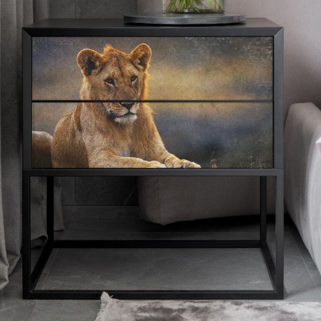 Lion Cub Decoupage Seidenpapier (Von Creator hochgeladen)