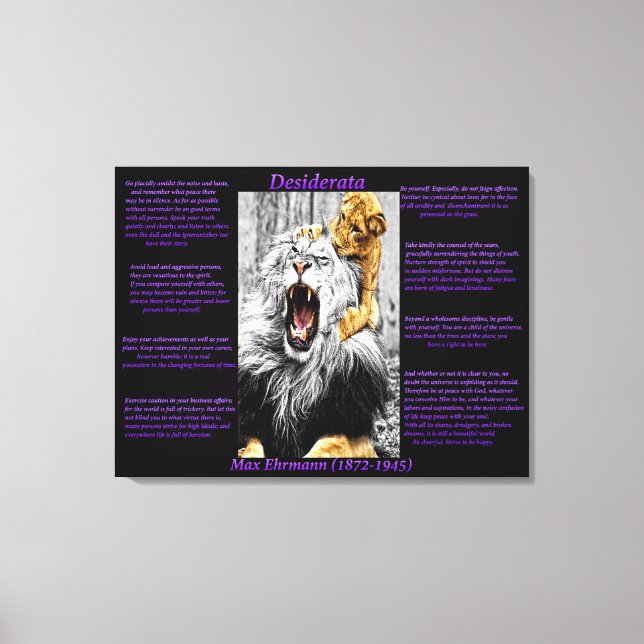 Lion Cub Leinwanddruck (Vorderseite)