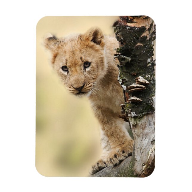 Lion Cub Magnet (Vertikal)