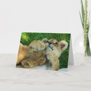 Lion Cub Note Card 4 Karte