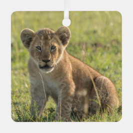 Lion Cub Personalize Name Foto Christmas Ornament Aus Metall