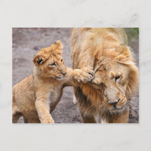Lion Cub Playing mit seiner Mutter Postkarte