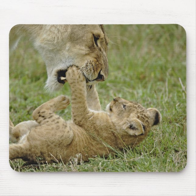 Lion Cub Playing Mousepad (Vorne)