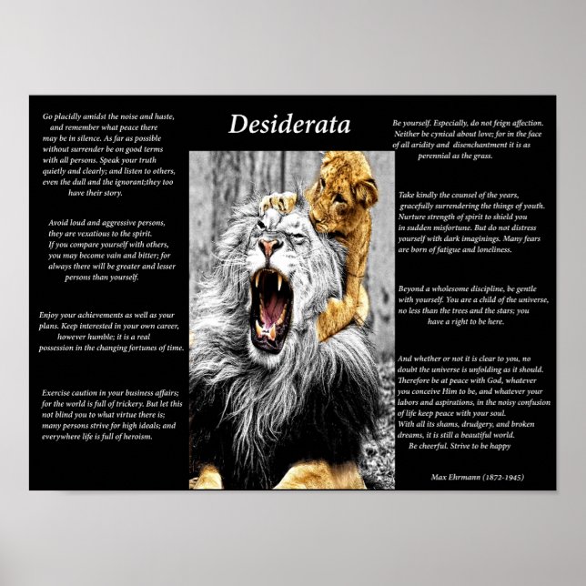 Lion Cub Poster (Vorne)