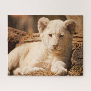 Lion Cub Puzzle