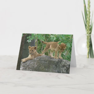 Lion Cubs auf der Rockkarte Karte