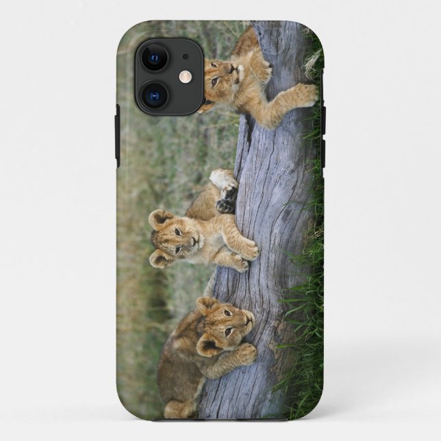 Lion Cubs auf Log Case-Mate iPhone Hülle (Rückseite)