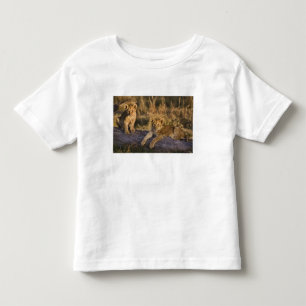 Lion Cubs auf Log Kleinkind T-shirt