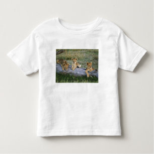 Lion Cubs auf Log Kleinkind T-shirt