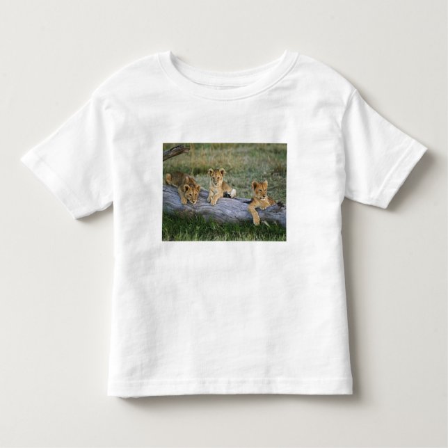 Lion Cubs auf Log Kleinkind T-shirt (Vorderseite)