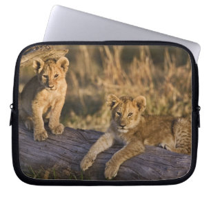 Lion Cubs auf Log Laptopschutzhülle