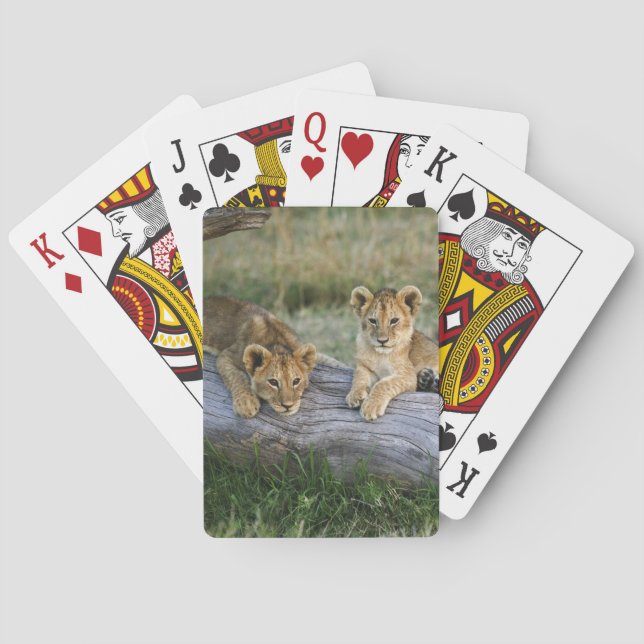 Lion Cubs auf Log Spielkarten (Rückseite)