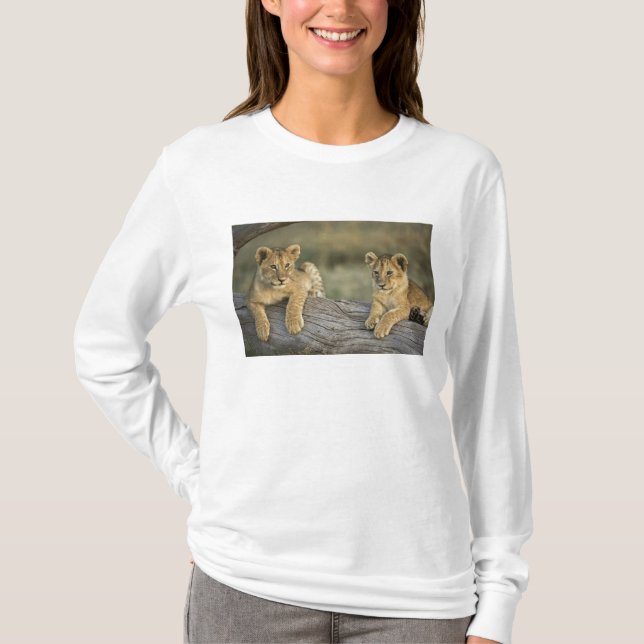 Lion Cubs auf Log T-Shirt (Vorderseite)