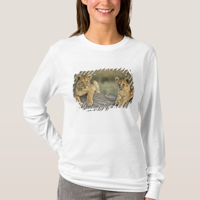 Lion Cubs auf Log T-Shirt (Vorderseite)