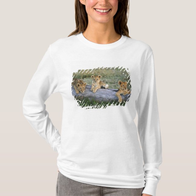 Lion Cubs auf Log T-Shirt (Vorderseite)
