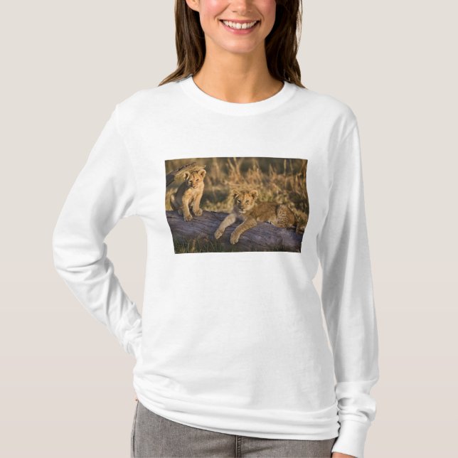 Lion Cubs auf Log T-Shirt (Vorderseite)