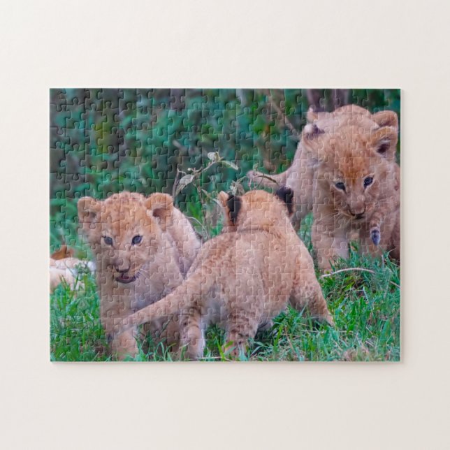 Lion Cubs Big Cats. Puzzle (Horizontal)