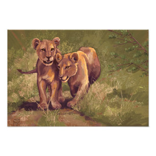 Lion Cubs Fotodruck