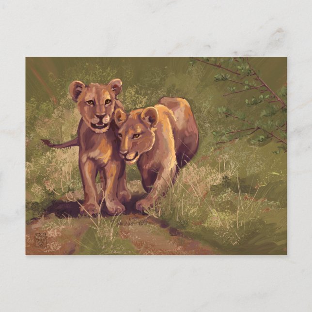Lion Cubs Postkarte (Vorderseite)