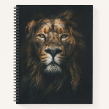 Lion Dark Background Foto