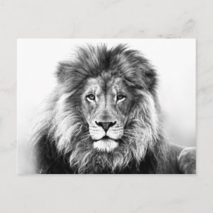 Lion Design Postkarte
