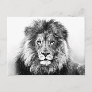 Lion Design Postkarte