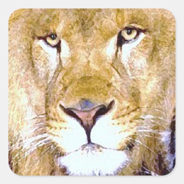 Lion Eyes Square Sticker (Vorderseite)