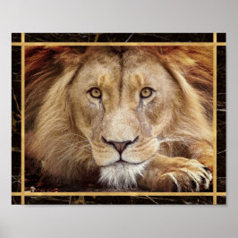 Lion Face Closeup Foto Image Print Poster