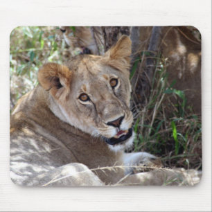 lion face mousepad